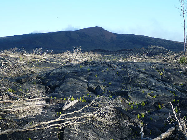LE CRATERE DU PU’U’O’O DEPUIS LA FORET DE GLENWOOD