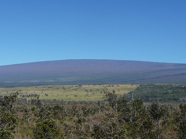 LE MAUNA LOA VU DEPUIS NAMAKANIPAIO CAMPGROUND