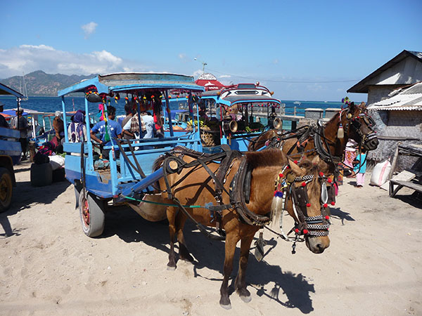 TAXI AU BALI