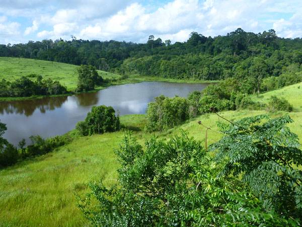 Tour d'observation NONG PAK CHI