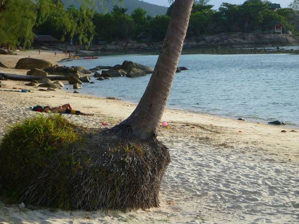 plage Haad Khom