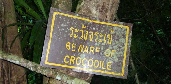 Sur le chemin de la cascade