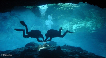 voyage