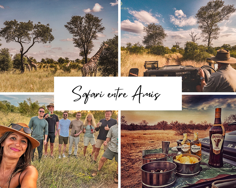 Safaris entre amis