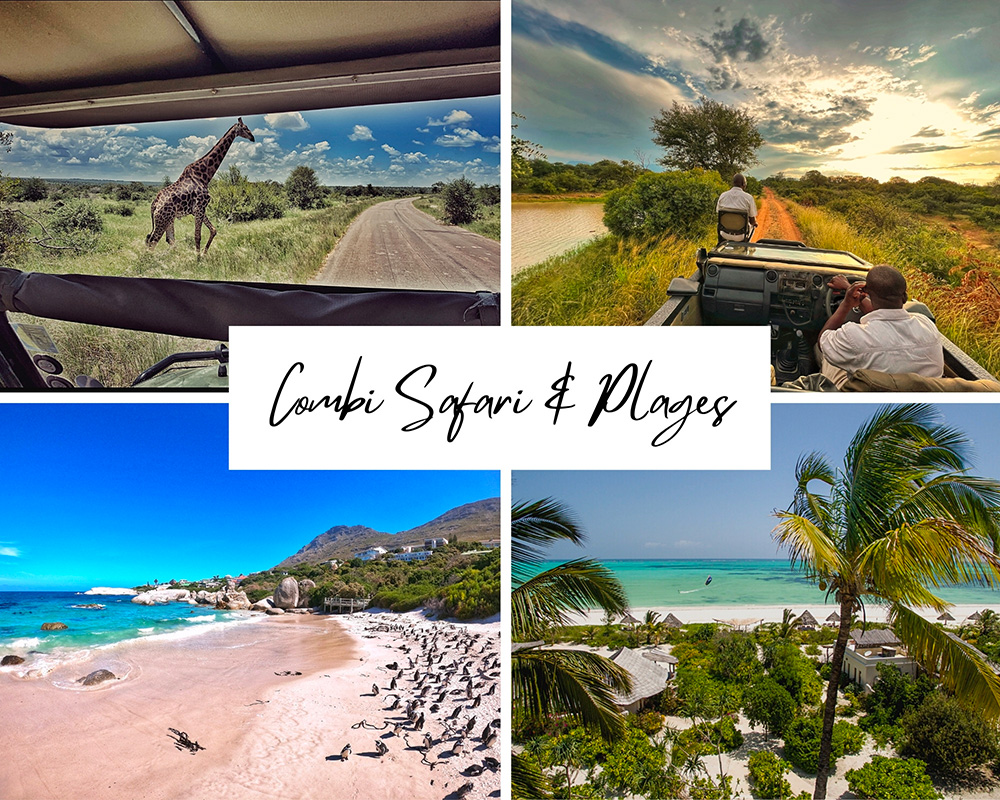 Safaris combiné plages (Le Cap - Zanzibar)