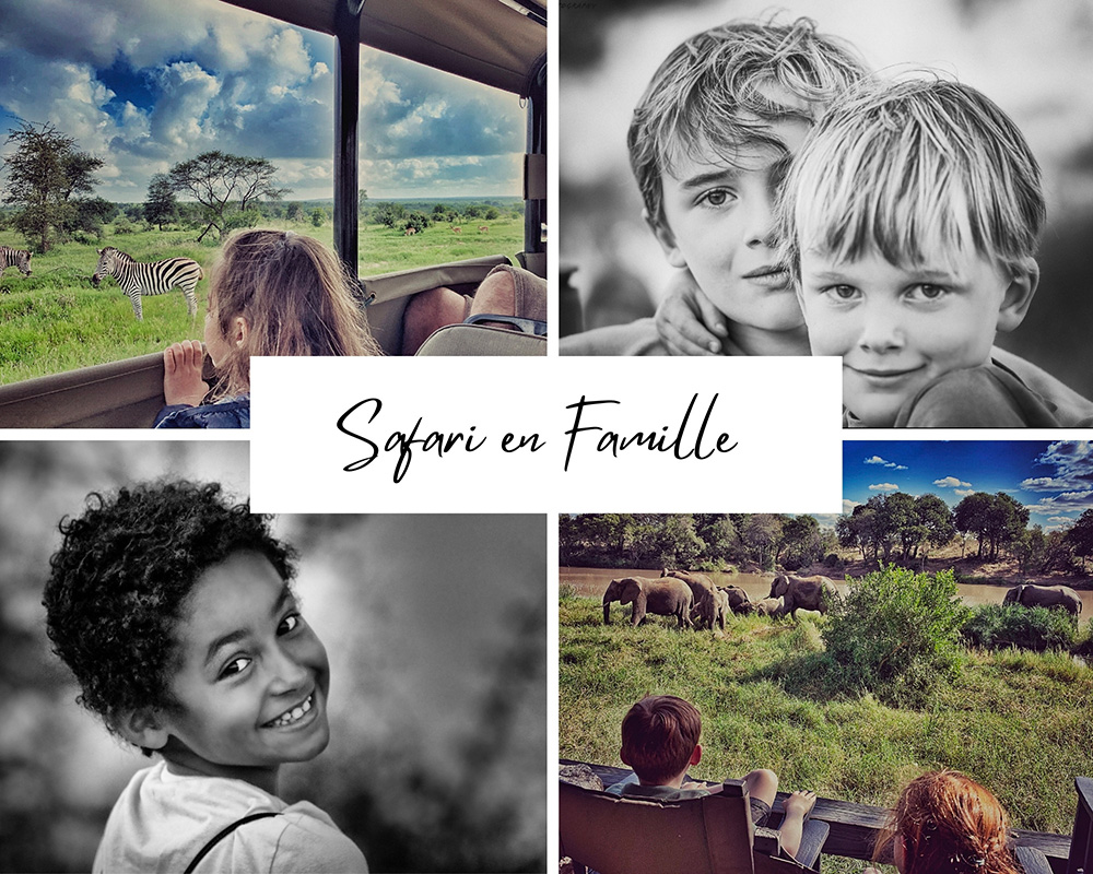 Safari en famille