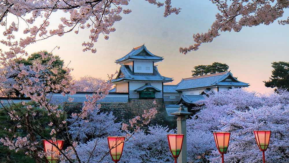 Splendeur du Japon sous les Momiji