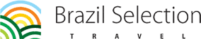 Brazil Selection