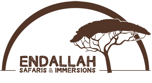 Agence Endallah