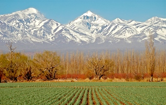 argentine mendoza