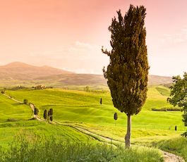 passeport italie