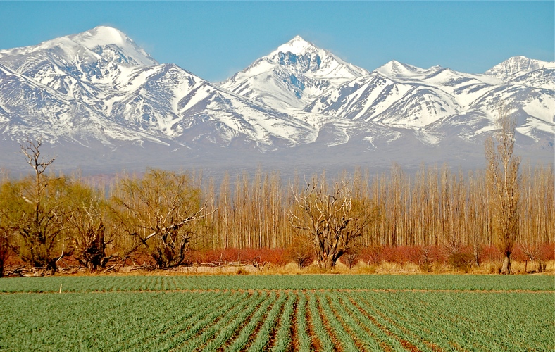 argentine mendoza