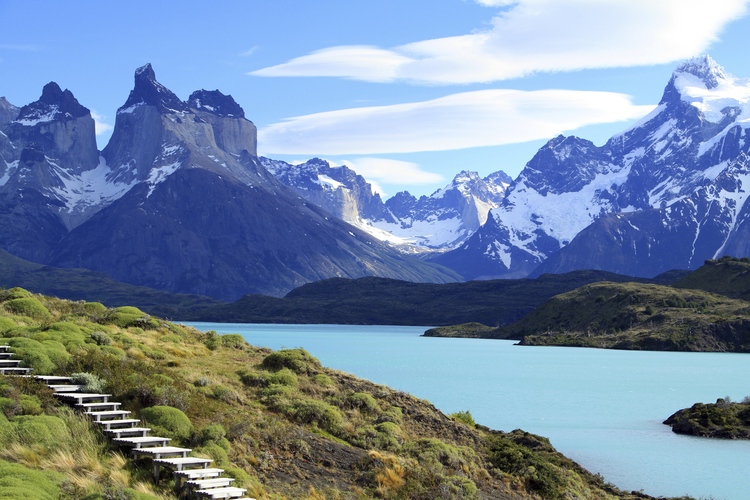 argentine