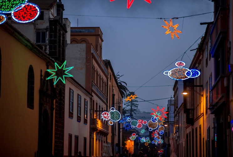 canaries noel