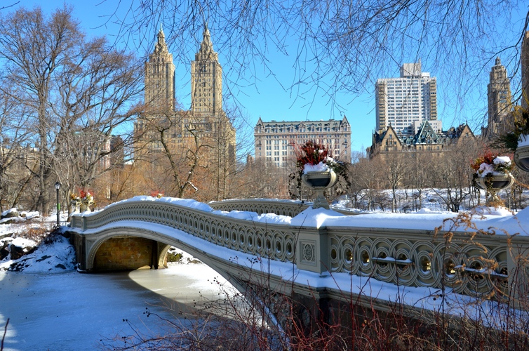 newyork noel