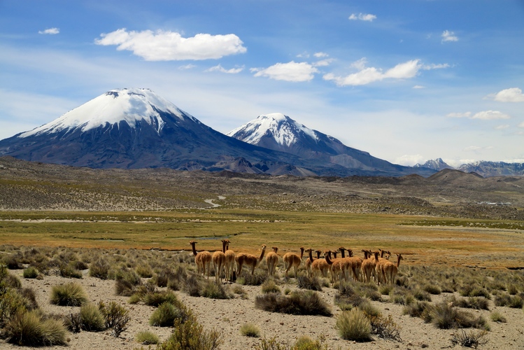 parc lauca
