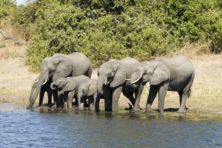 parcnatureldusud lwangwa