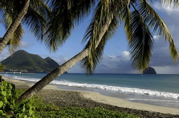 passeport martinique
