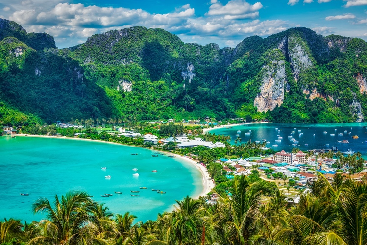 phi phi lee