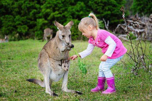 famille Australie