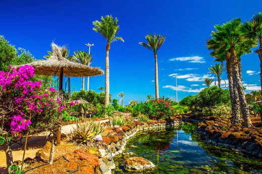 noces îles Canaries