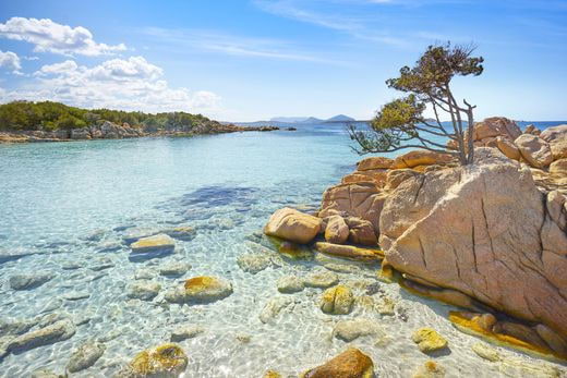 noces Sardaigne