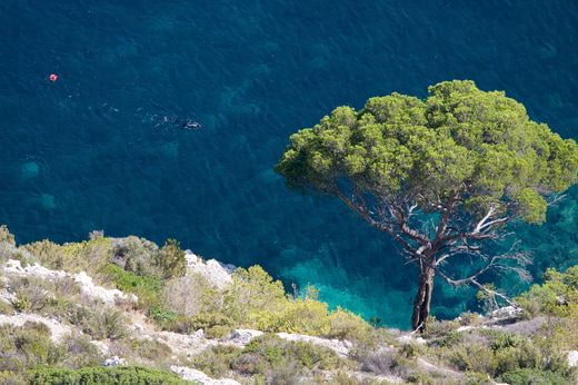 plongee France : Provence