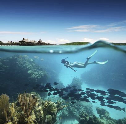 plongee Polynésie française (Tahiti)