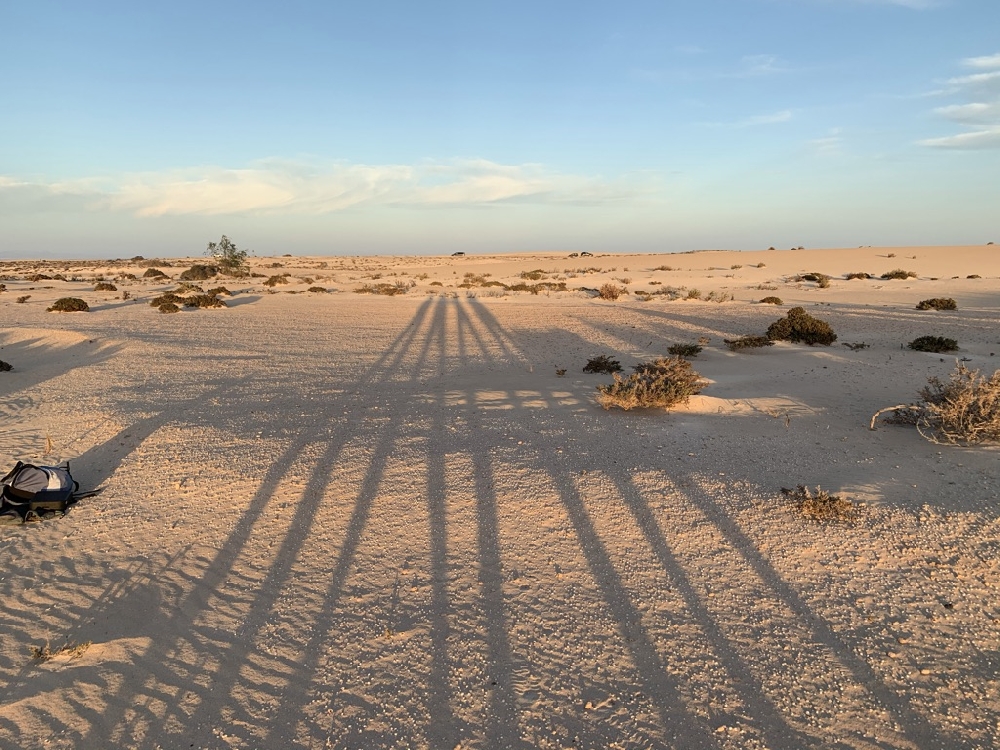 fuerteventura-parc-des-dunes-de-corralejo-139.jpg