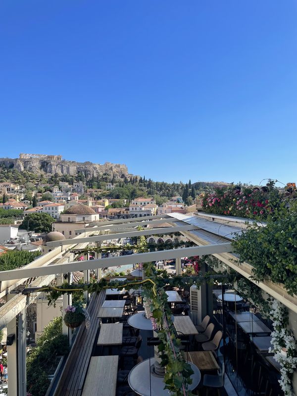 MS Roof Garden