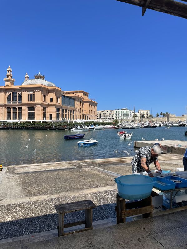 photo originale Maéva Seigner©  Le marché aux poissons