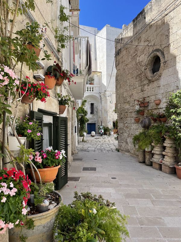 photo originale Maéva Seigner©  Flânerie dans les ruelles fleuries de Monopoli