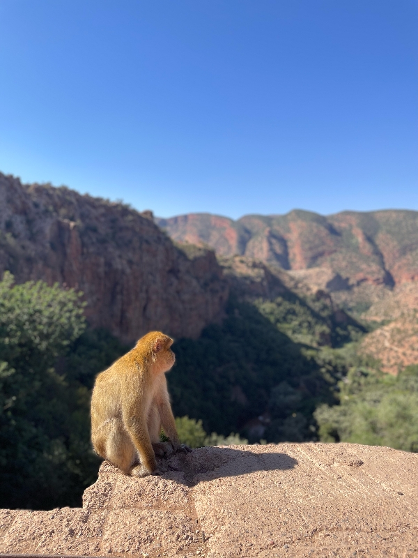 photo originale Maéva Seigner©  Les sages d'Ouzoud