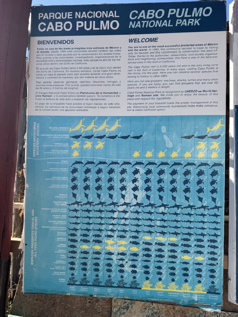 mexique-cabo-pulmo-308.jpg
