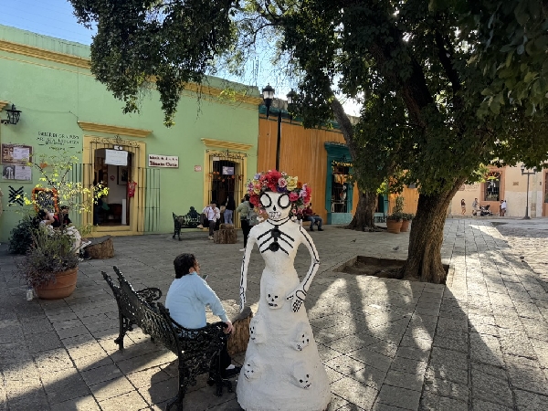 mexique-oaxaca-291.jpg