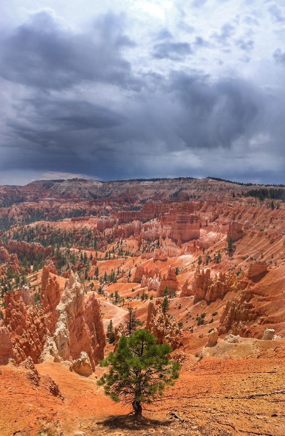 ouest-americain-bryce-canyon-878.jpg