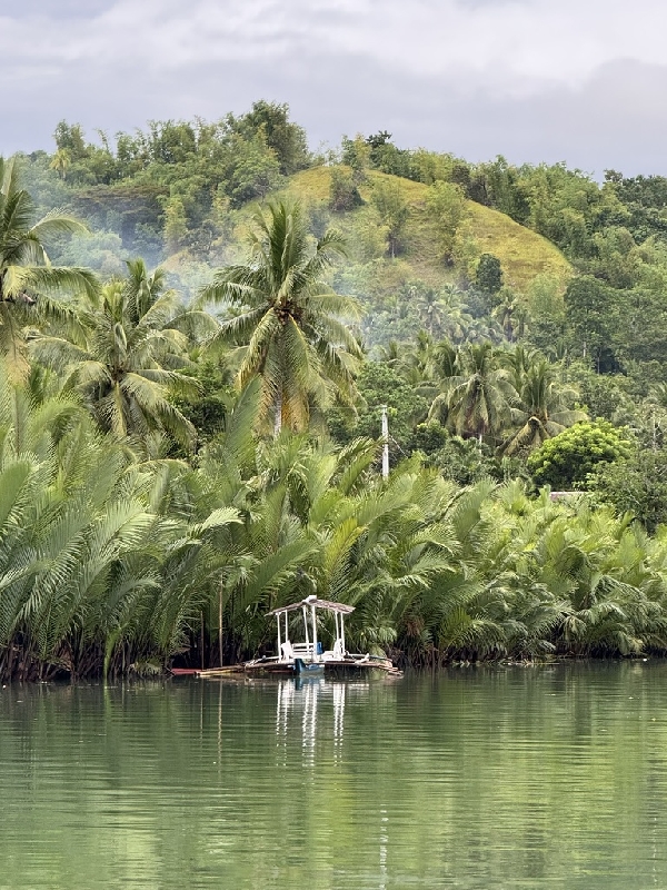 Pause nature sur la Loboc River