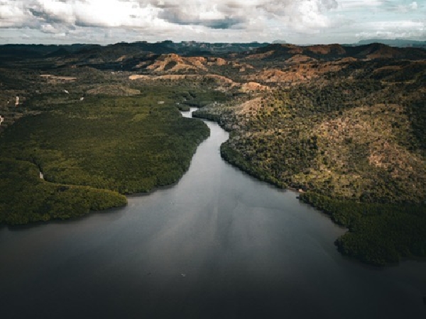 La mangrove de Coron : où la terre et la mer s’entrelacent