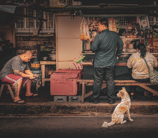 Un coin animé où chacun trouve son rôle, même le chien