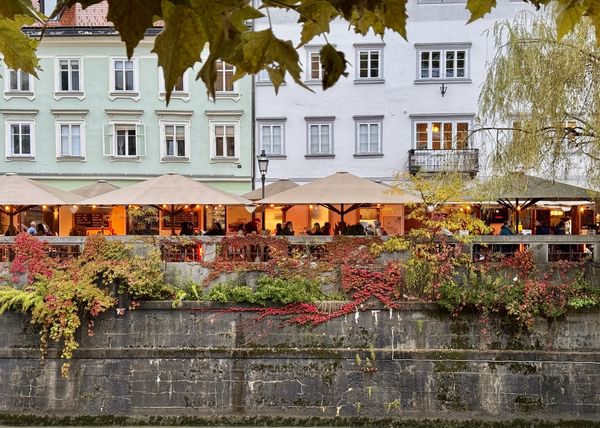 Terrasses au bord de la Ljubljanica en automne