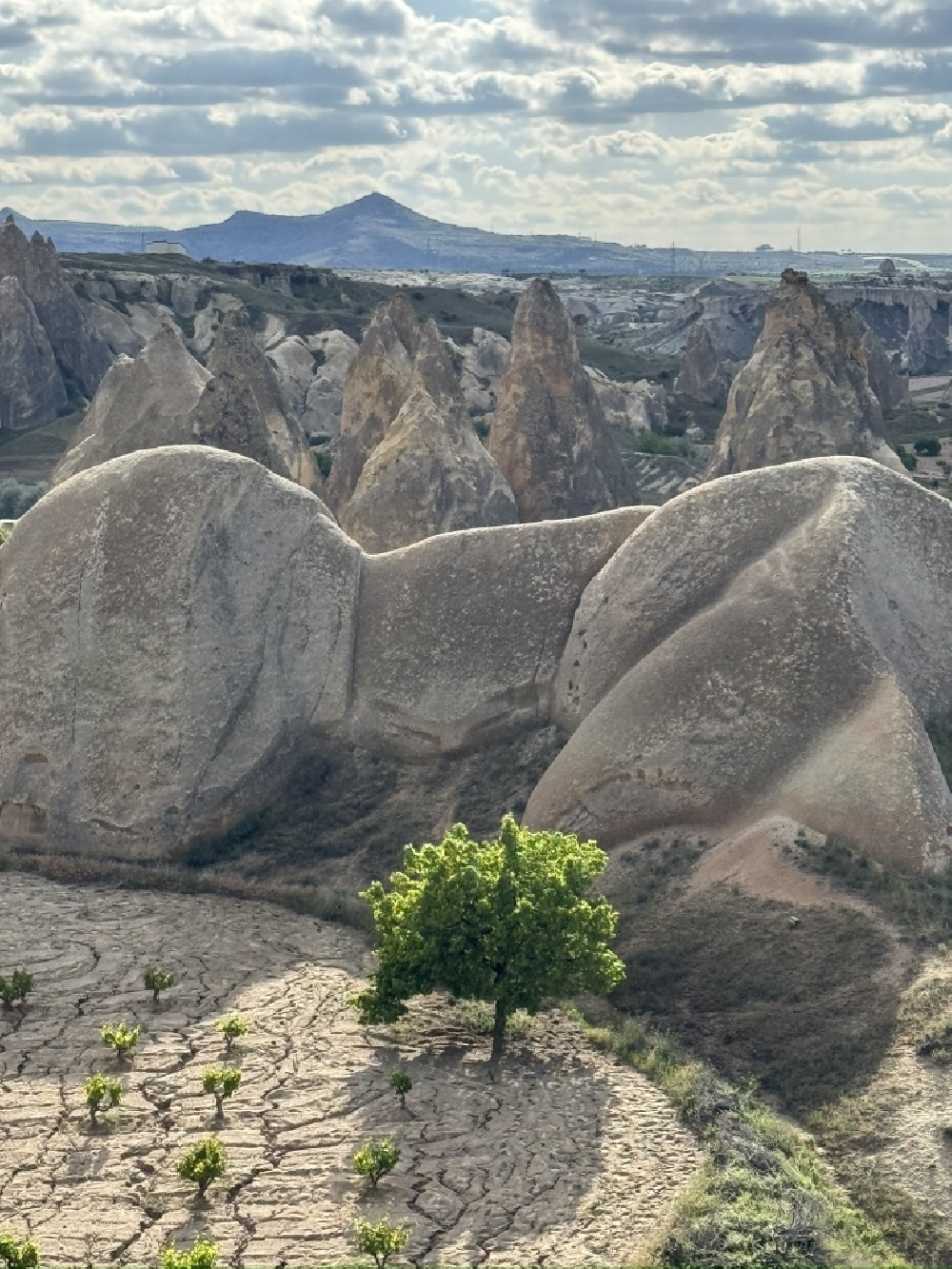 turquie-cappadoce-405.jpg