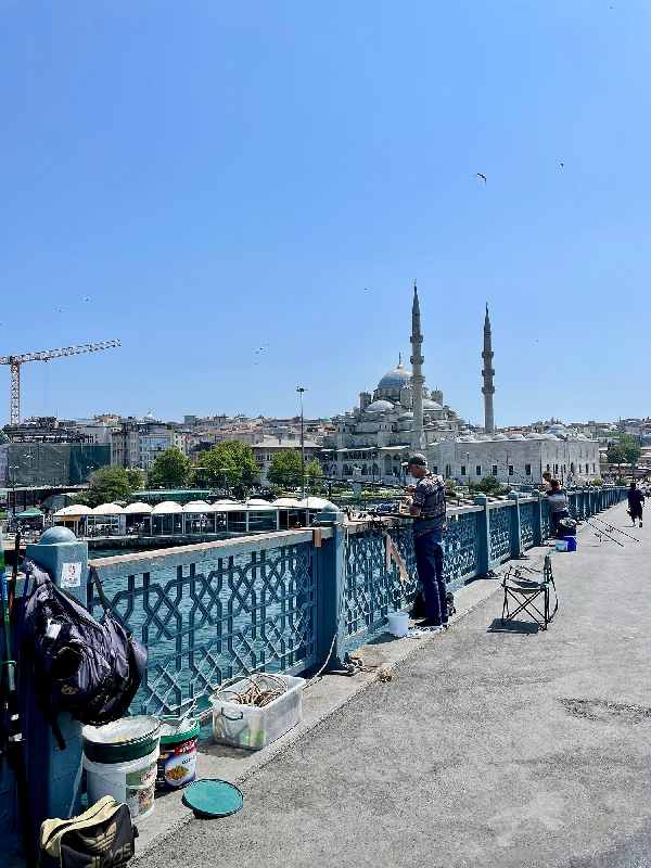 photo originale Maéva Seigner©  Le cœur battant du Bosphore