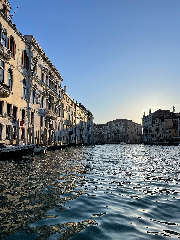 L'expérience paisible d'une virée au bord du l'eau