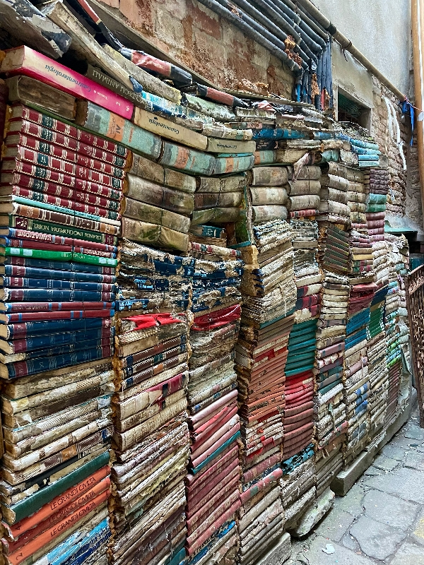 Le mur de livres trempés