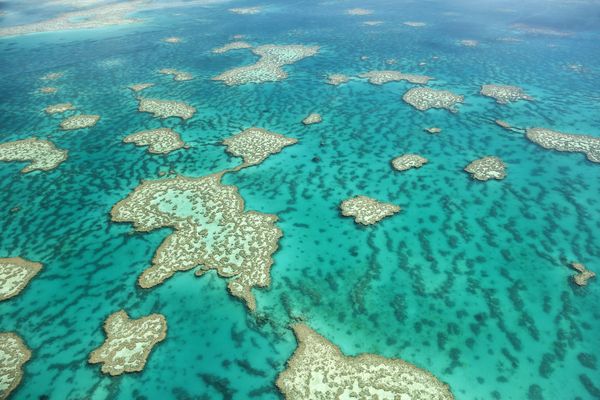 Le Queensland et la grande barrière de corail