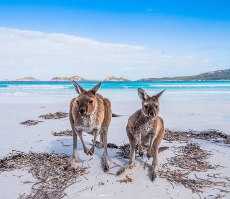 Adelaïde et le Sud Australie