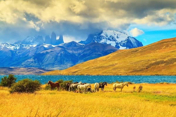 La Patagonie