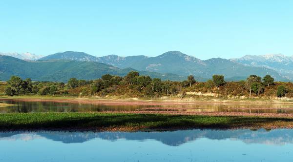 Corse Orientale