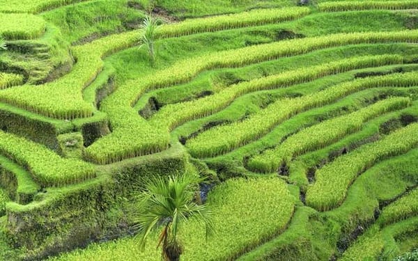 photo Bali