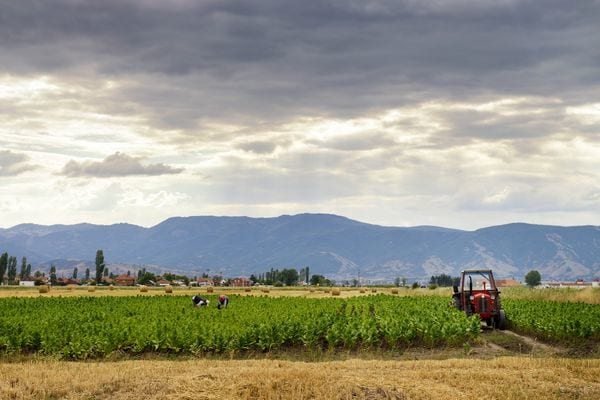 La Pelagonia